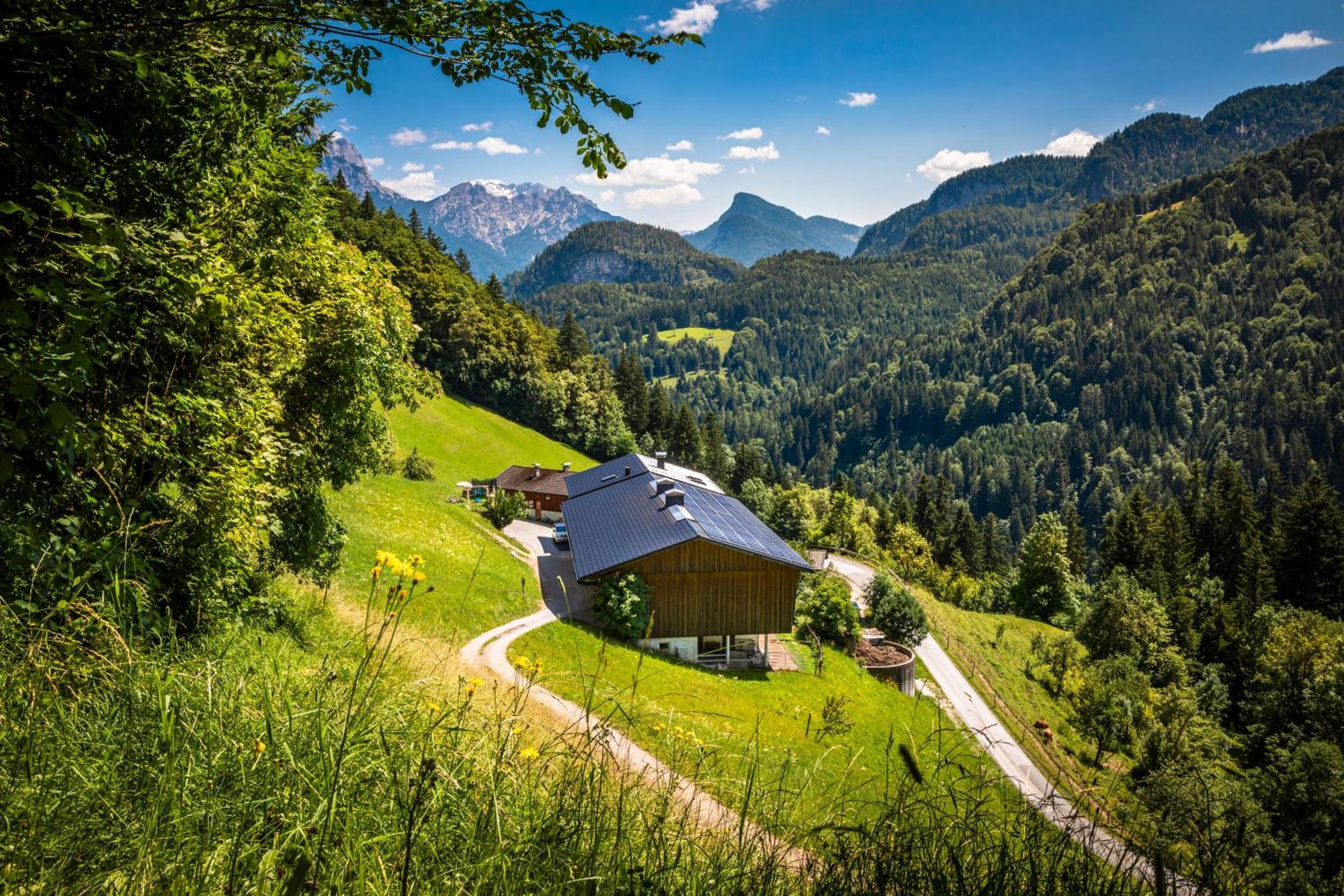 Biobauernhof Schneiderbauer Apartment Unken Bagian luar foto